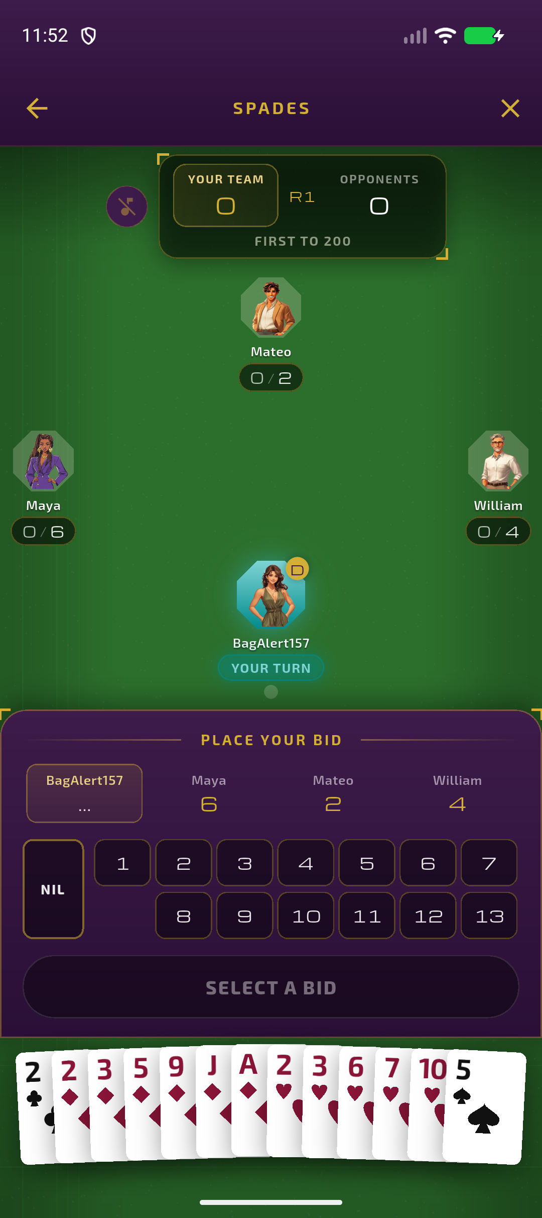 Spades bidding